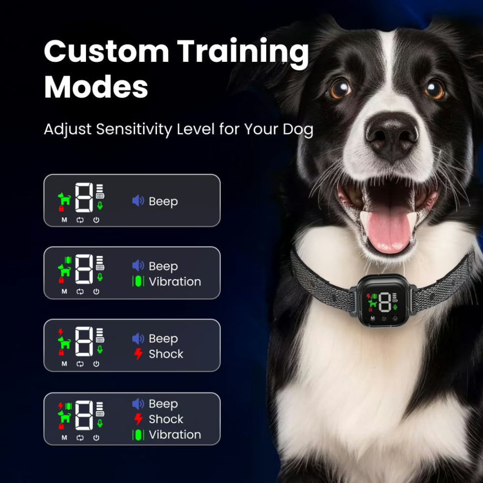 NooBark collar showing its custom training modes on the touch screen